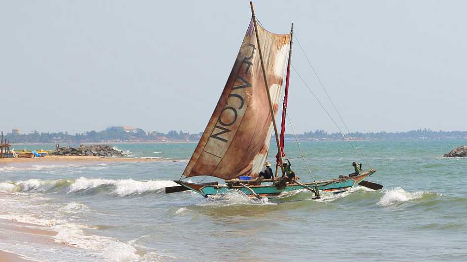 J18_2717 Bringing home the catch, Negombo.JPG